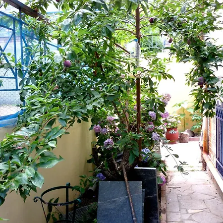 Sea View House Kavala